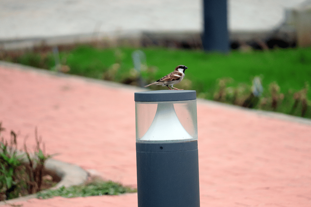 KJ Somaiya hostel photo 7