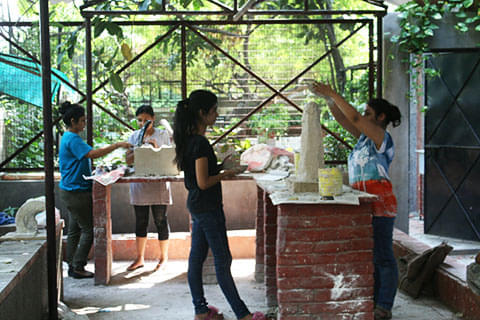 Central Institute of Medicinal and Aromatic Plants Lucknow Infrastructure photo 3