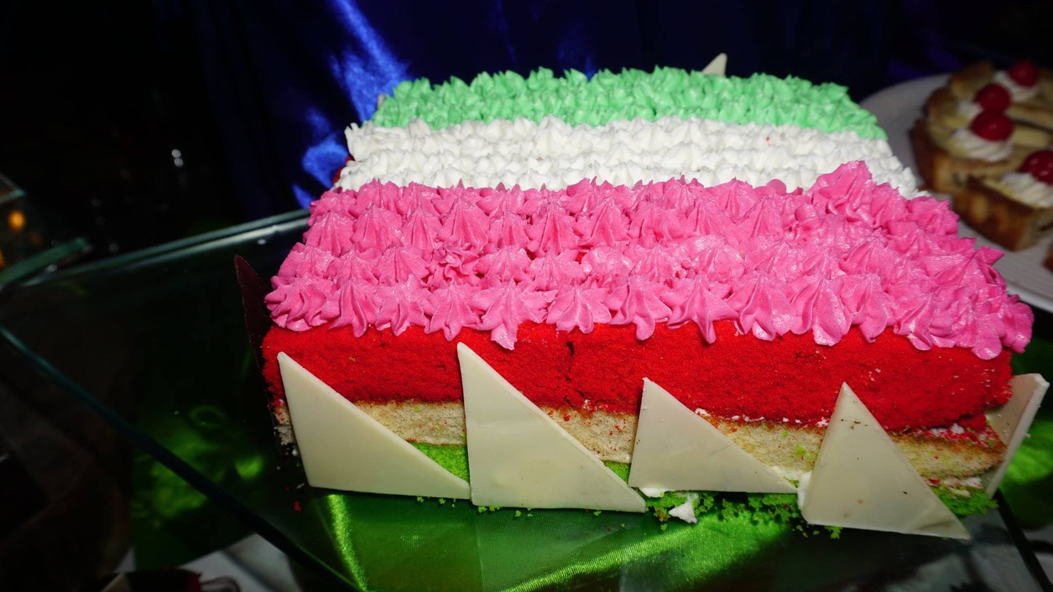 Regency College of Culinary Arts and Hotel Management Hyderabad Italian Food Festival photo 1