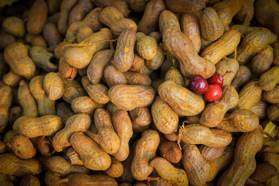 Frameboxx Animation and Visual Effects Mumbai Events photo 1