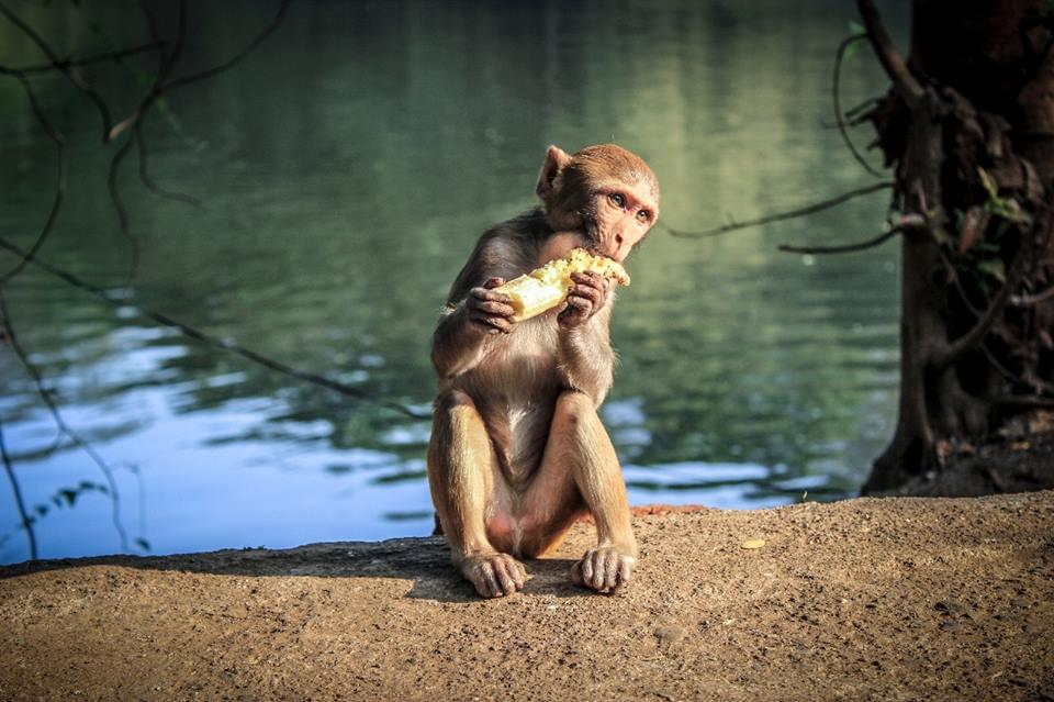 Frameboxx Animation and Visual Effects Mumbai Events photo 3