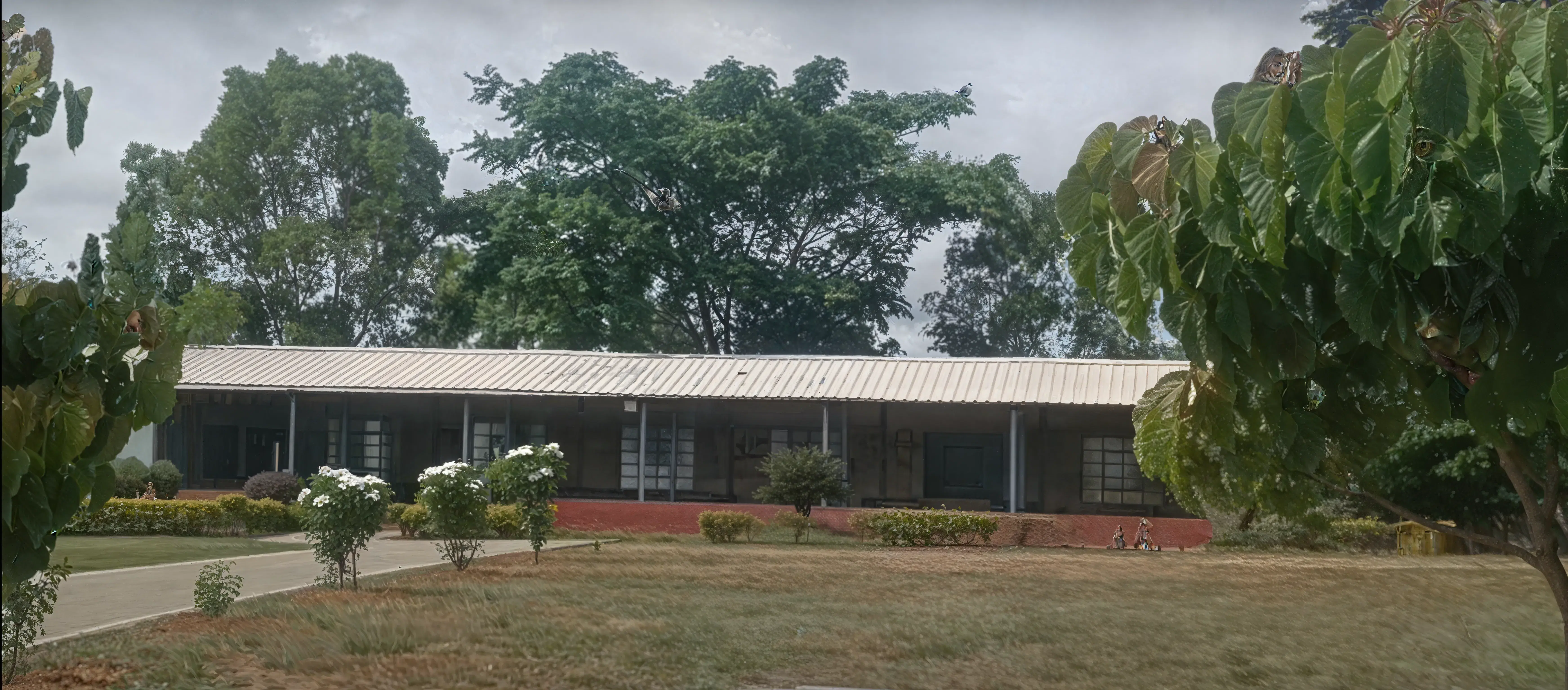 NIE Mysore Campus photo 4