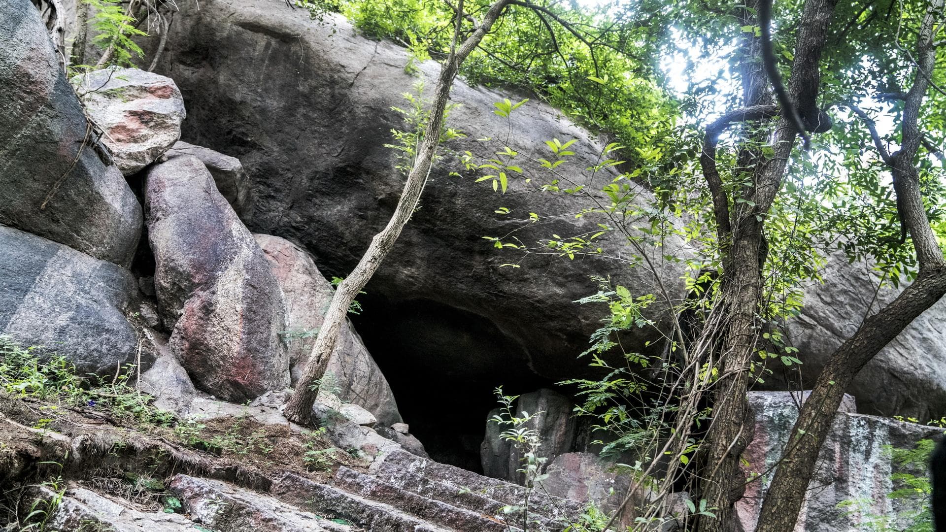 Annapurna College of Film and Media Hyderabad Campus photo 1