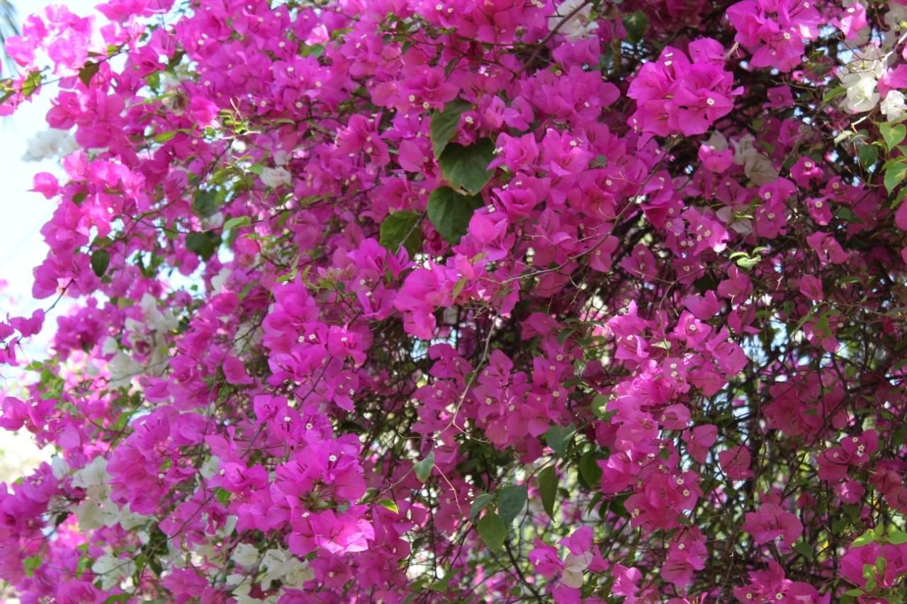 SPEC Hyderabad Campus photo 9