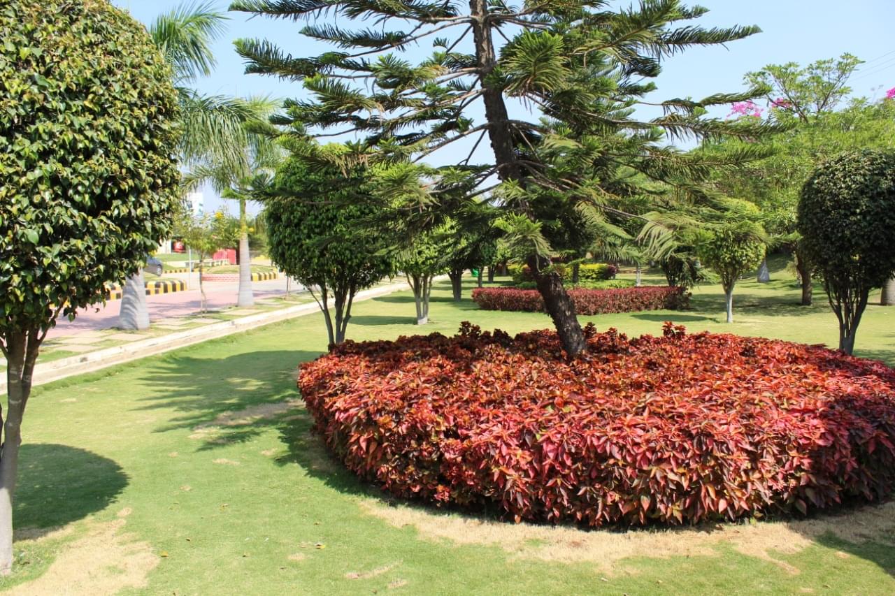 SPEC Hyderabad Campus photo 12