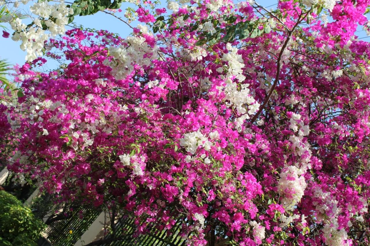 SPEC Hyderabad Campus photo 13