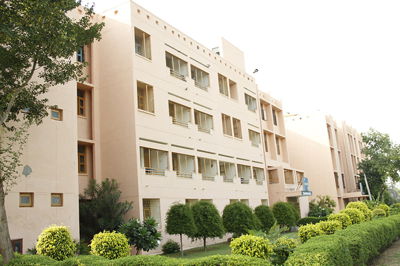 Apeejay Stya University, School of Management Sciences Gurgaon Campus & Facilities photo 1