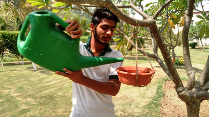 School of Bioscience, Apeejay Stya University Gurgaon Events photo 12