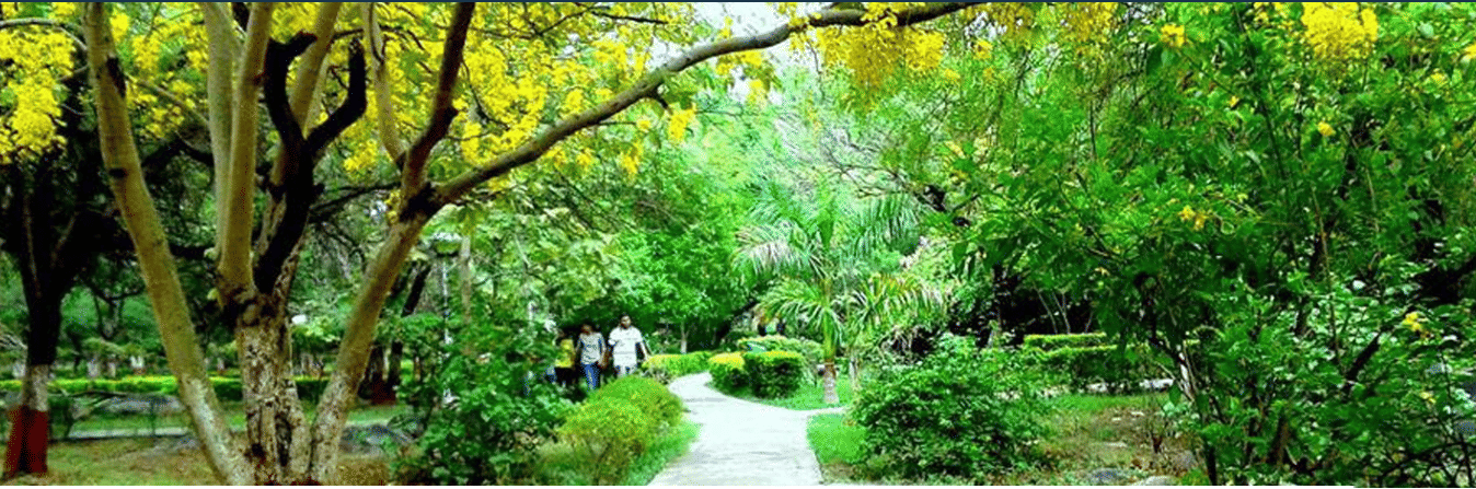 Atal Bihari Vajpayee School of Management and Entrepreneurship New Delhi Infrastructure photo 3