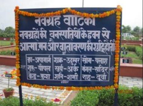 Ch. Brahm Prakash Ayurved Charak Sansthan New Delhi Herbal Garden photo 1