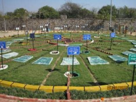 Ch. Brahm Prakash Ayurved Charak Sansthan New Delhi Herbal Garden photo 2