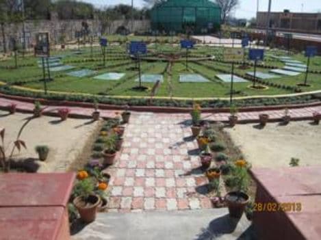 Ch. Brahm Prakash Ayurved Charak Sansthan New Delhi Herbal Garden photo 3