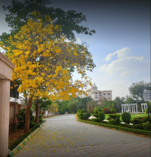 Adichunchanagiri University Mandya Campus photo 12