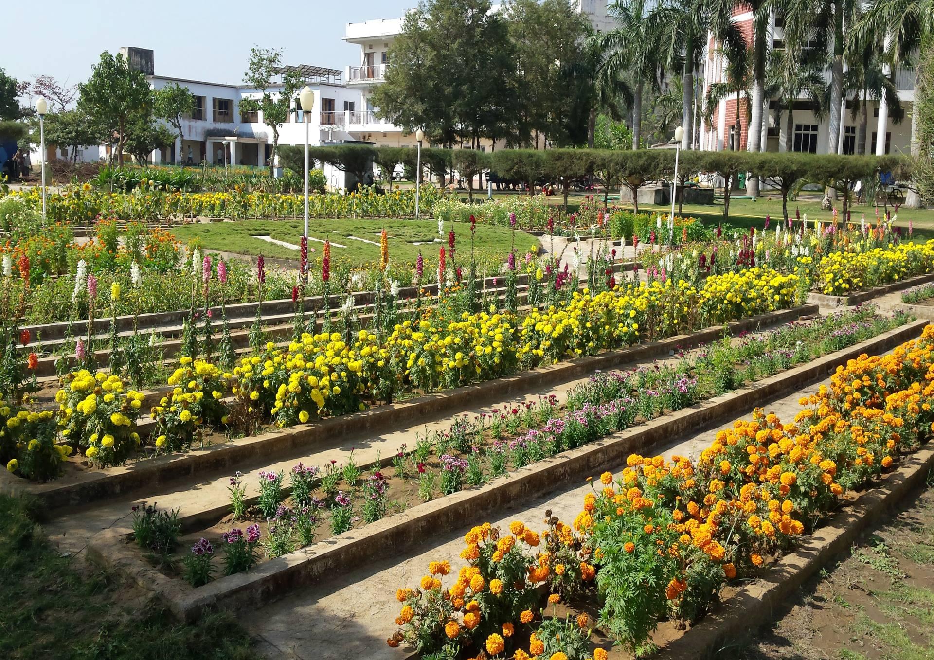 NIST University Campus View photo 12