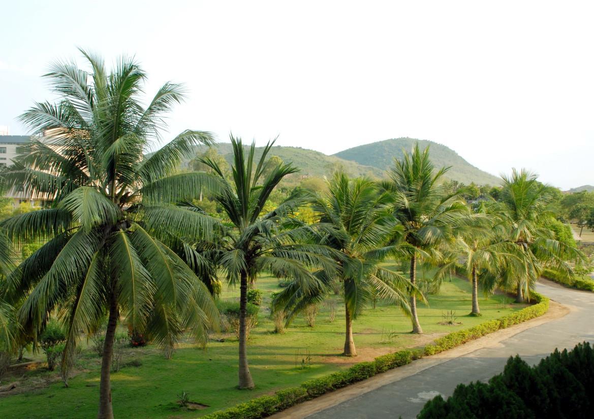 NIST University Campus View photo 14