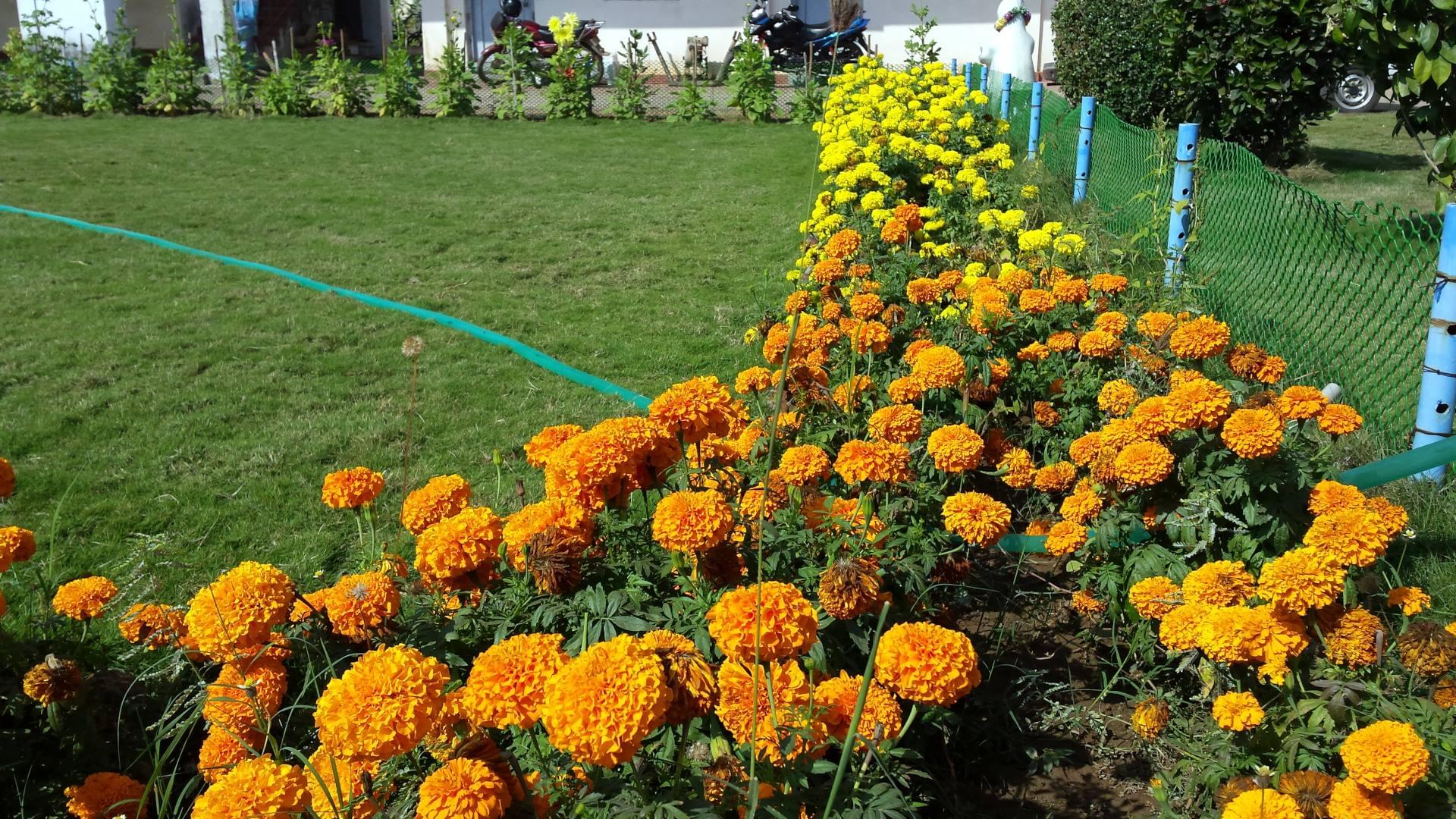 NIST University Campus View photo 19