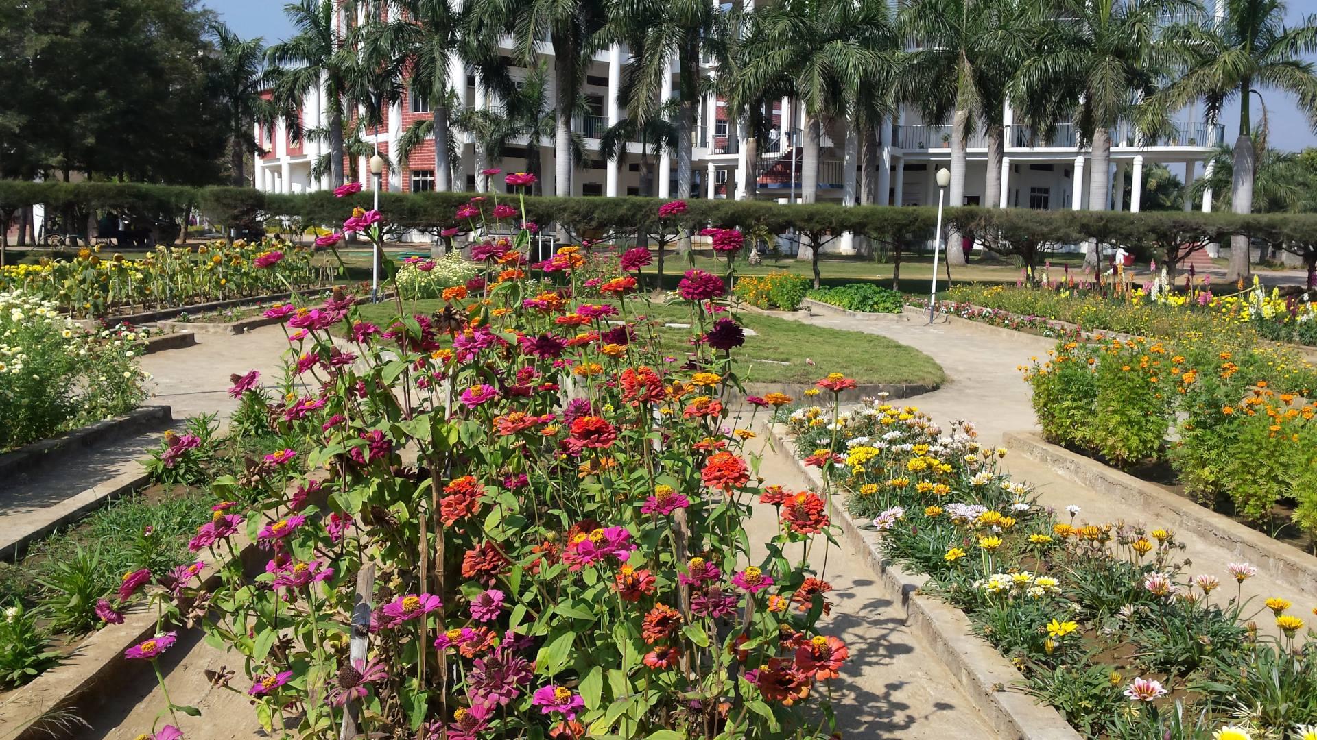 NIST University Campus View photo 23