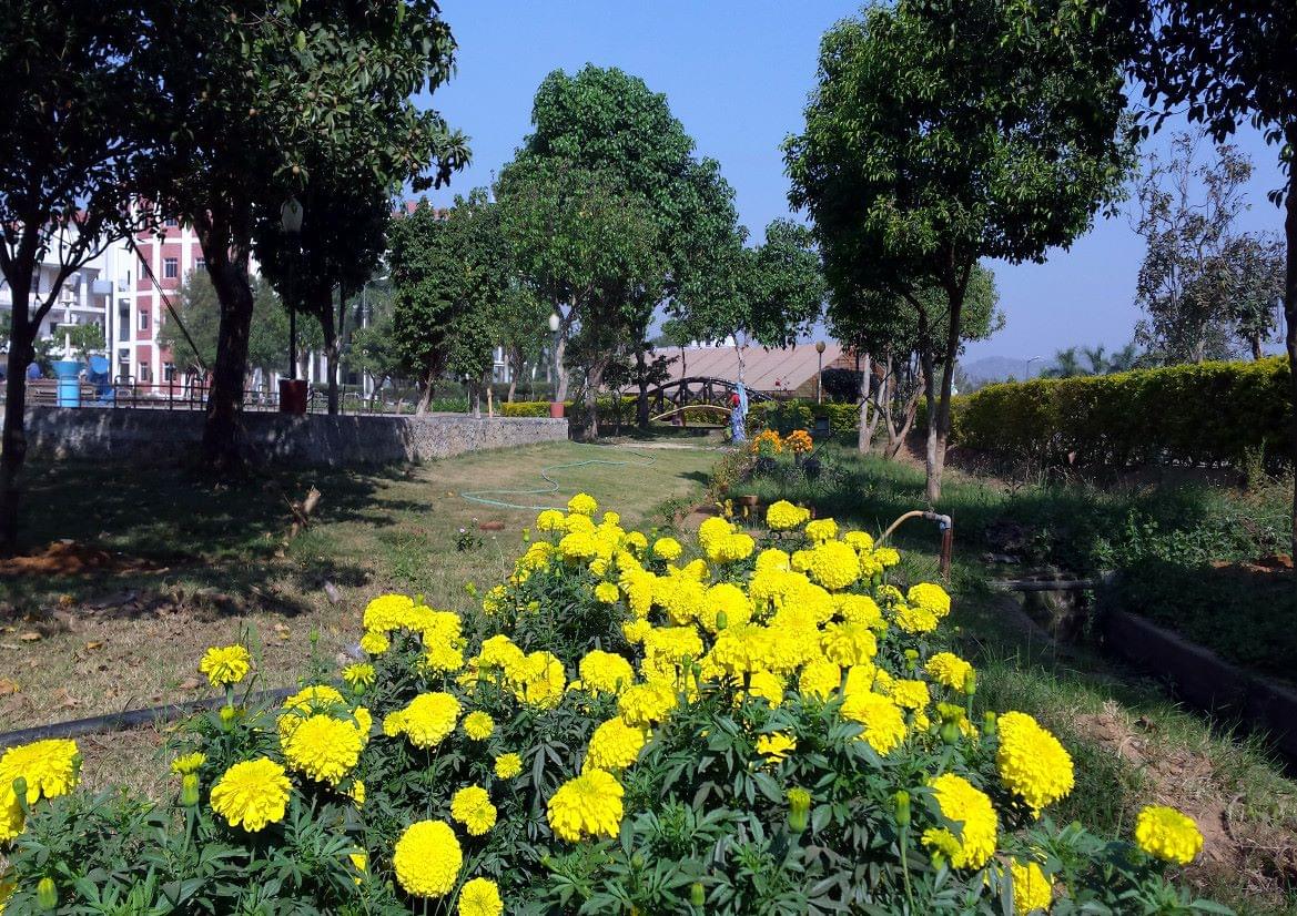 NIST University Campus View photo 26