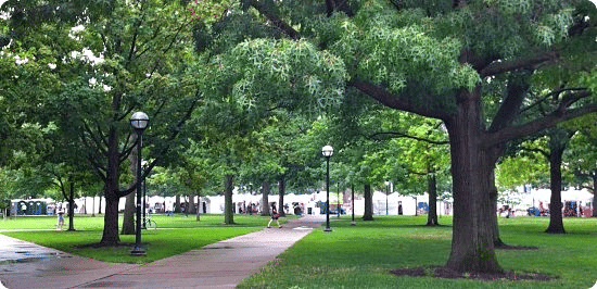 DU CIC Infrastructure photo 1