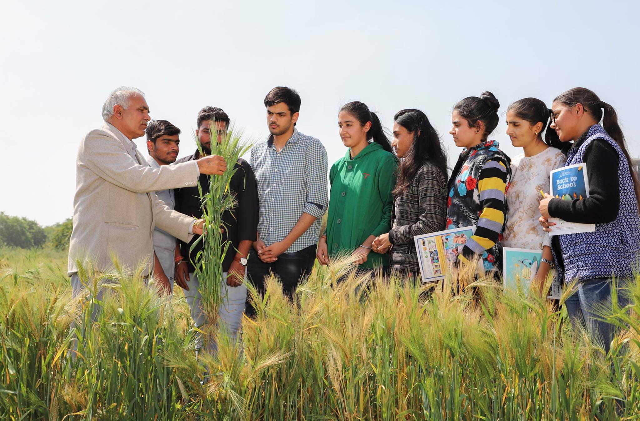 PDM University, Bahadurgarh Students Activities photo 1