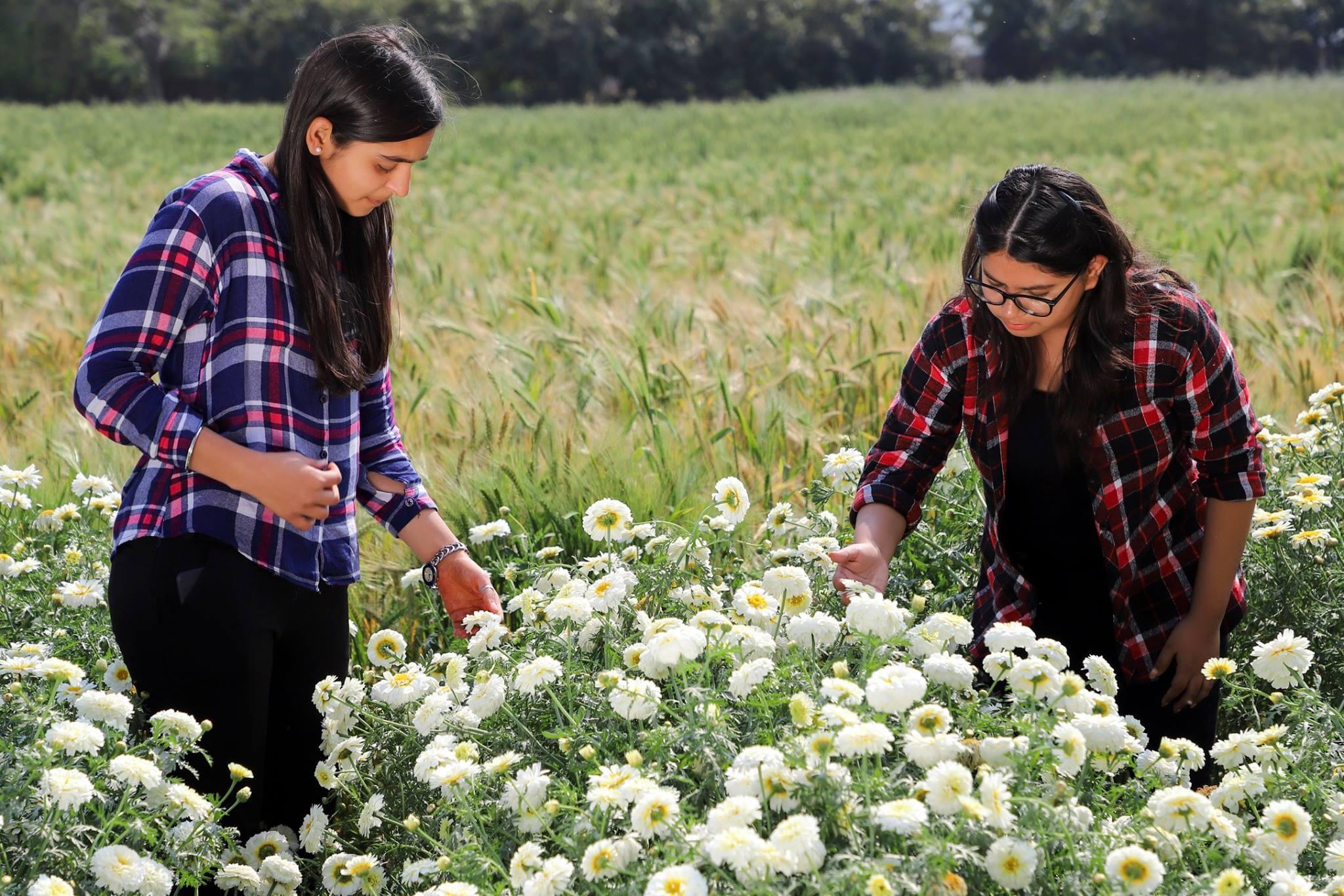PDM University, Bahadurgarh Students Activities photo 5