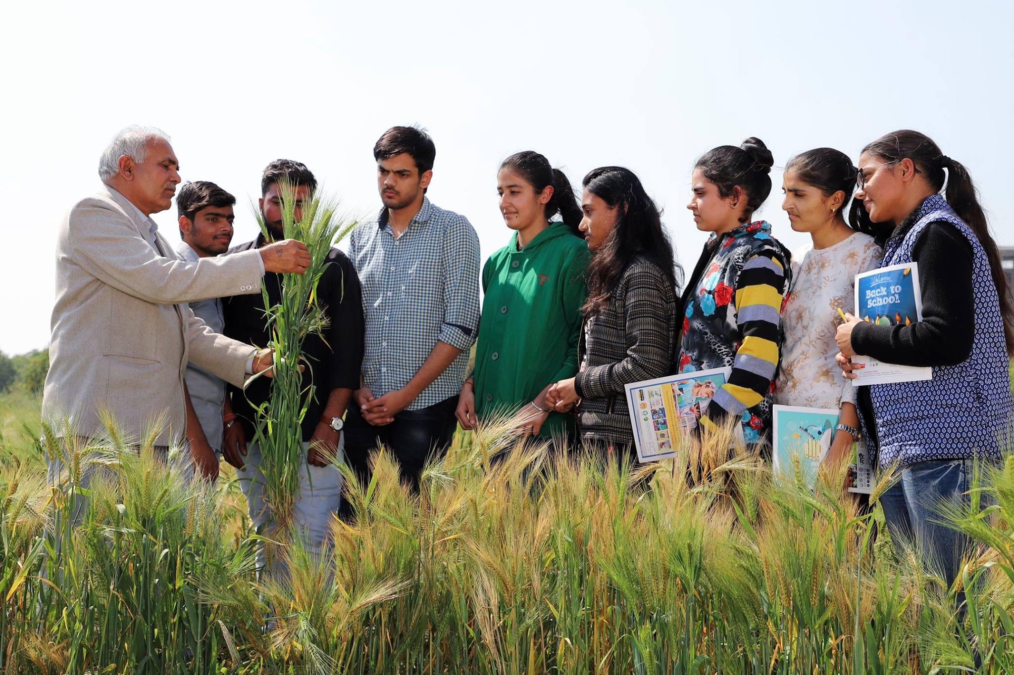 PDM University, Bahadurgarh Students Activities photo 13