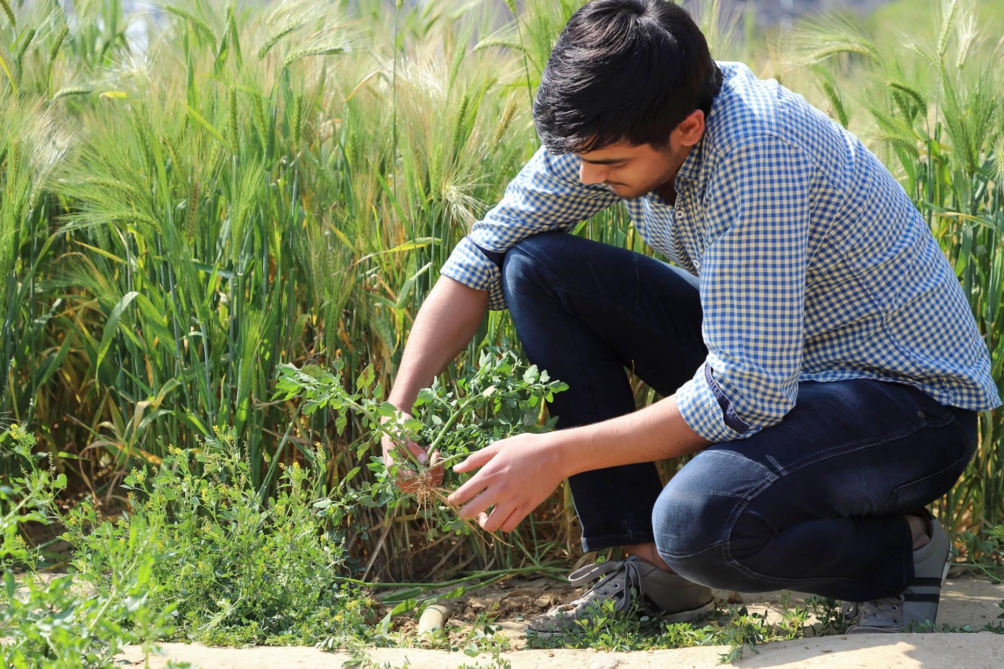 PDM University, Bahadurgarh Students Activities photo 17