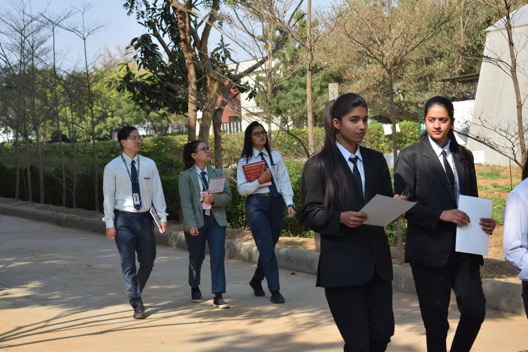 VGU Jaipur University Path photo 1