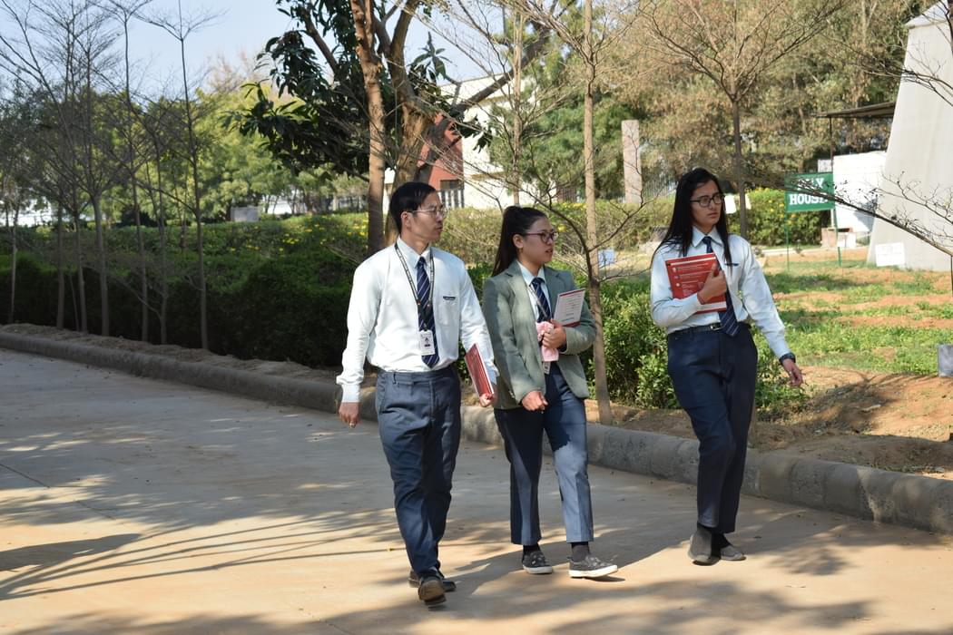 VGU Jaipur University Path photo 3