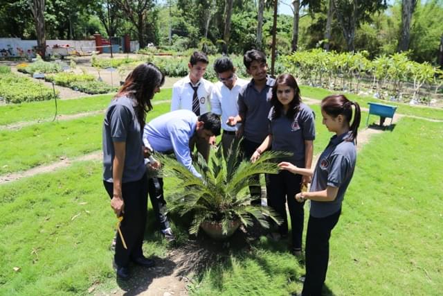 Sai Group of Institutions Dehradun Extra Curricular Activities photo 4