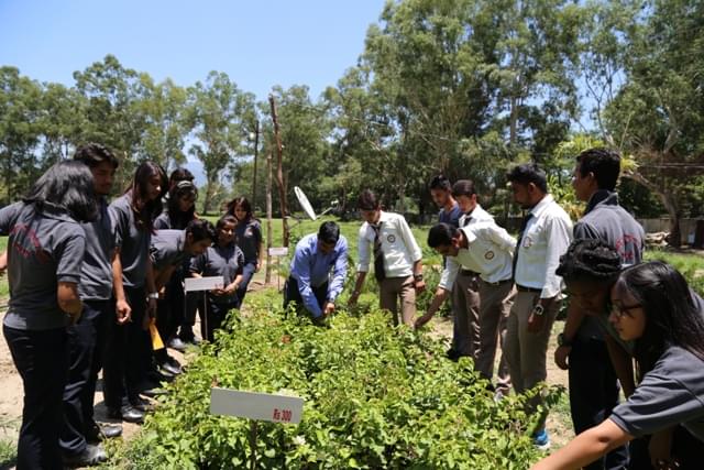 Sai Group of Institutions Dehradun Extra Curricular Activities photo 5