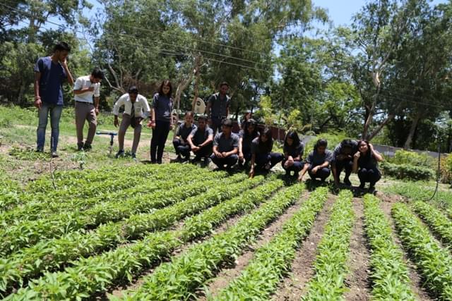 Sai Group of Institutions Dehradun Extra Curricular Activities photo 6