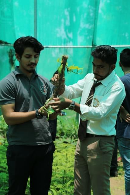 Sai Group of Institutions Dehradun Extra Curricular Activities photo 9