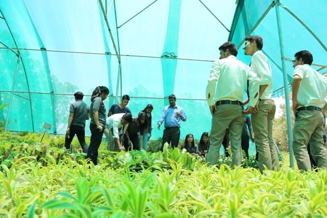 Sai Group of Institutions Dehradun Extra Curricular Activities photo 10