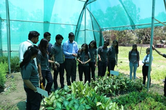 Sai Group of Institutions Dehradun Extra Curricular Activities photo 11