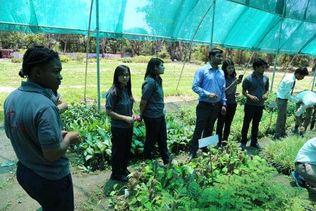 Sai Group of Institutions Dehradun Extra Curricular Activities photo 13