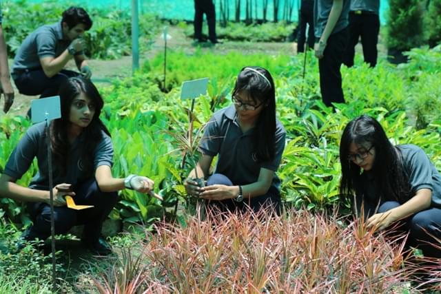 Sai Group of Institutions Dehradun Extra Curricular Activities photo 14