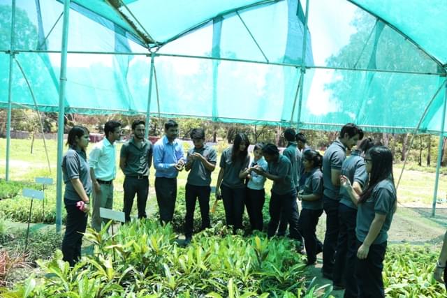 Sai Group of Institutions Dehradun Extra Curricular Activities photo 15