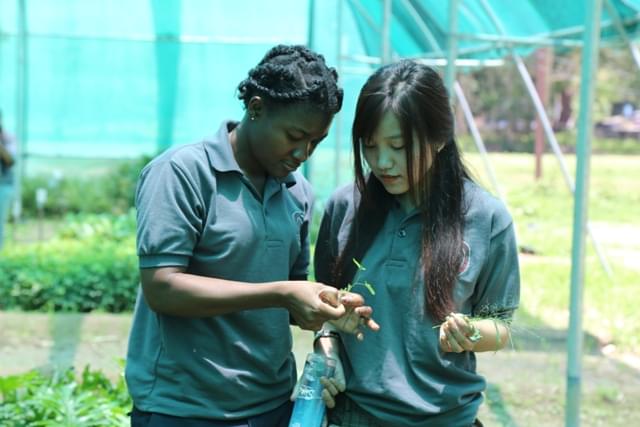 Sai Group of Institutions Dehradun Extra Curricular Activities photo 18