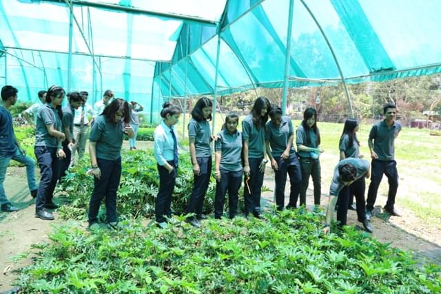 Sai Group of Institutions Dehradun Extra Curricular Activities photo 19