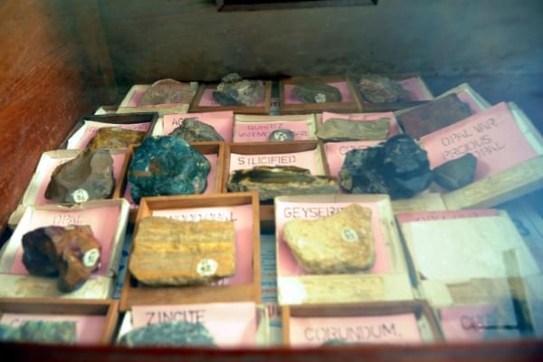 Alagappa Government Arts College Sivaganga Museums photo 2