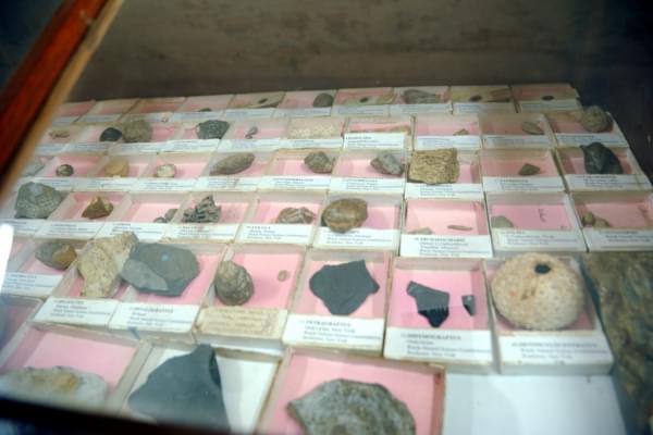 Alagappa Government Arts College Sivaganga Museums photo 3