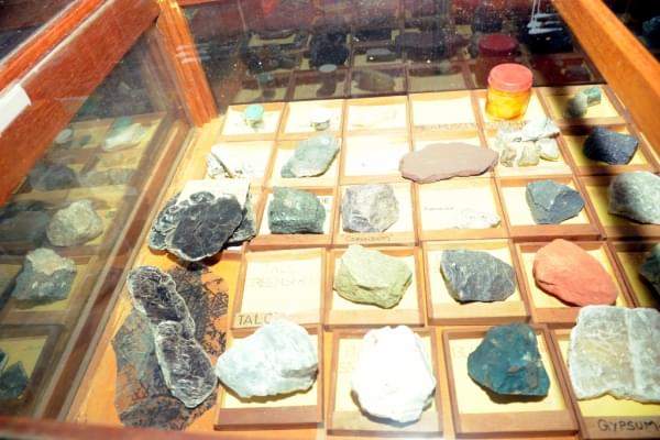 Alagappa Government Arts College Sivaganga Museums photo 4