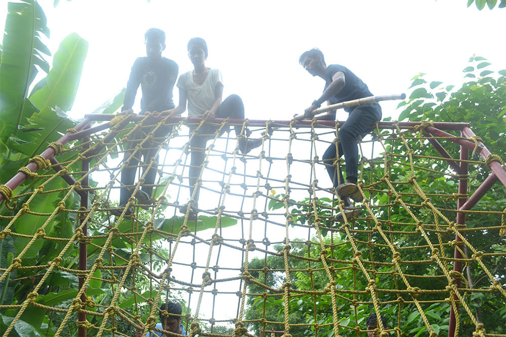 Daly College of Business Management Indore Flame of the Forest photo 4