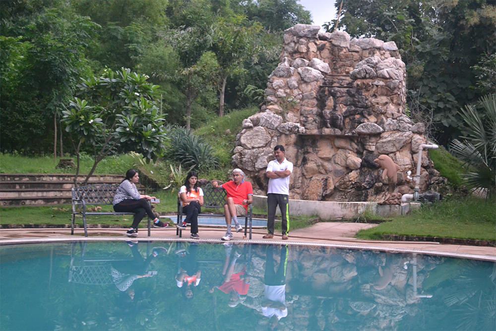 Daly College of Business Management Indore Flame of the Forest photo 7