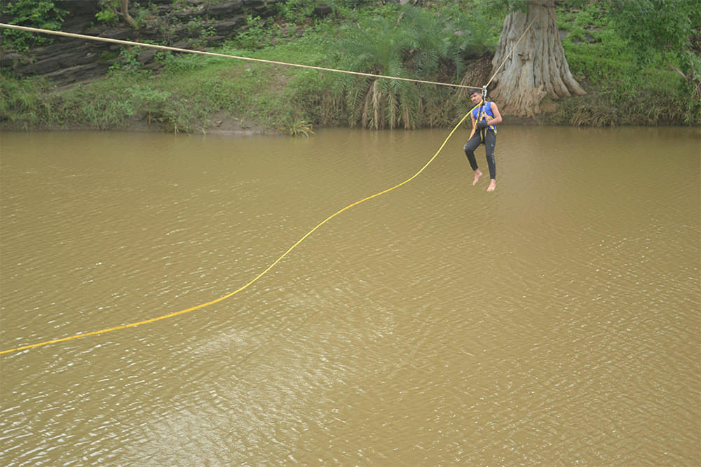 Daly College of Business Management Indore Flame of the Forest photo 14