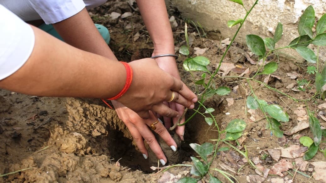 Rama University, Faculty Of Dental Sciences Kanpur Events photo 10