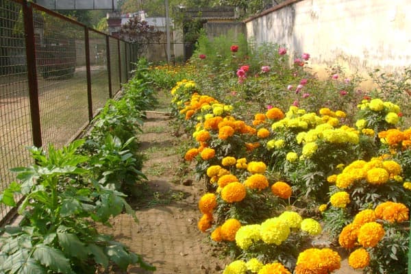 Asansol Girls College Bundwan Campus photo 9