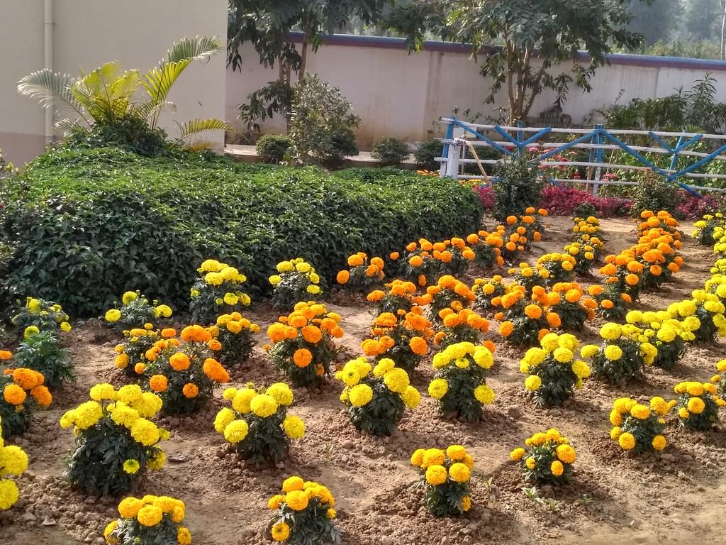 Ramakrishna Mission Vidyamandira Howrah Campus photo 7