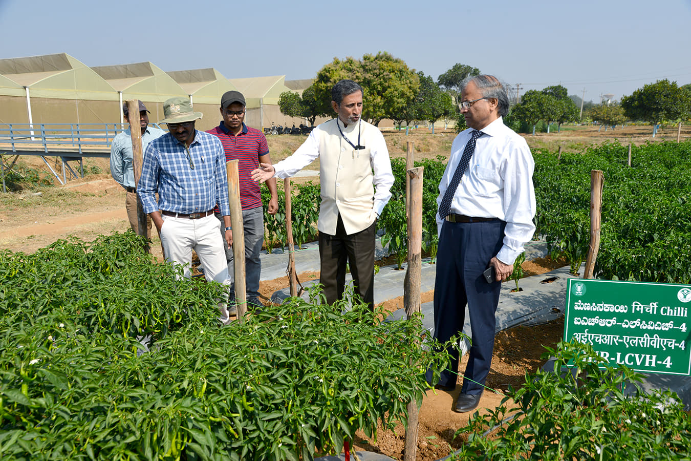 Indian Institute of Horticultural Research Bangalore EVENTS photo 4